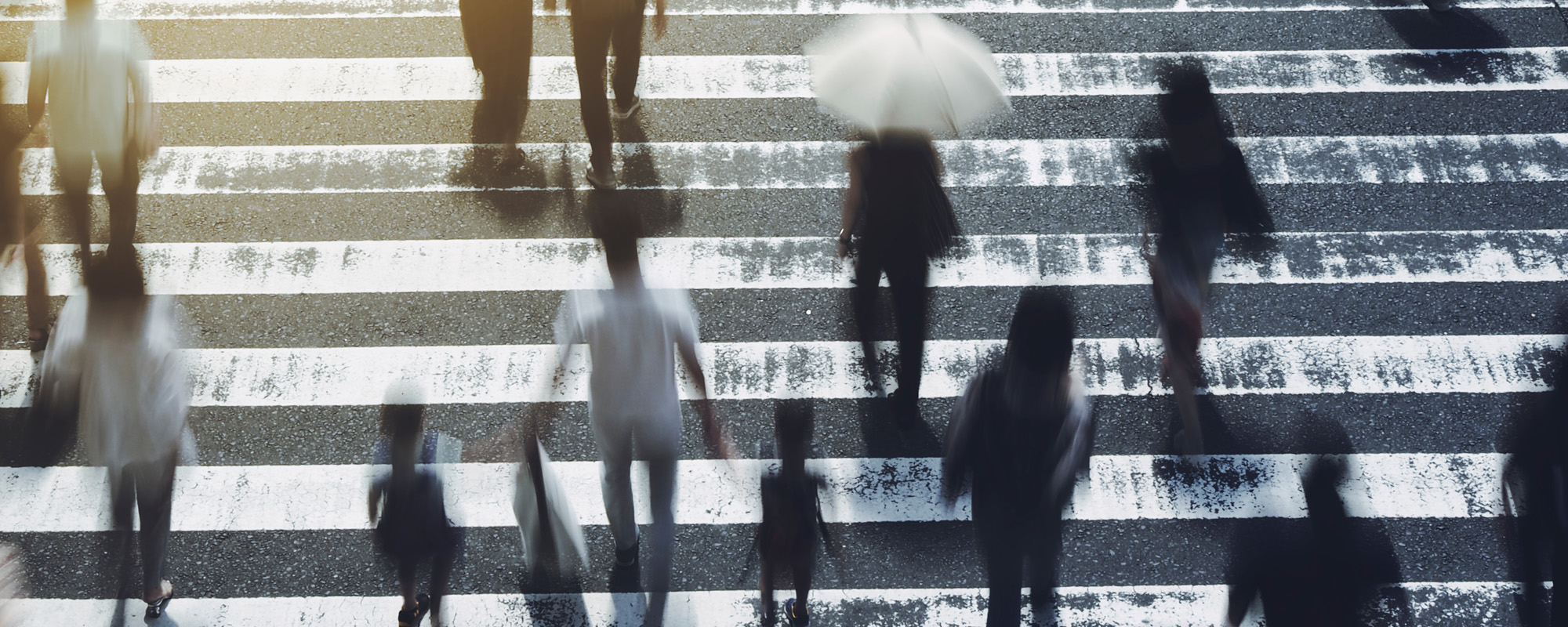 overhead shot of pedestrians in cross walk